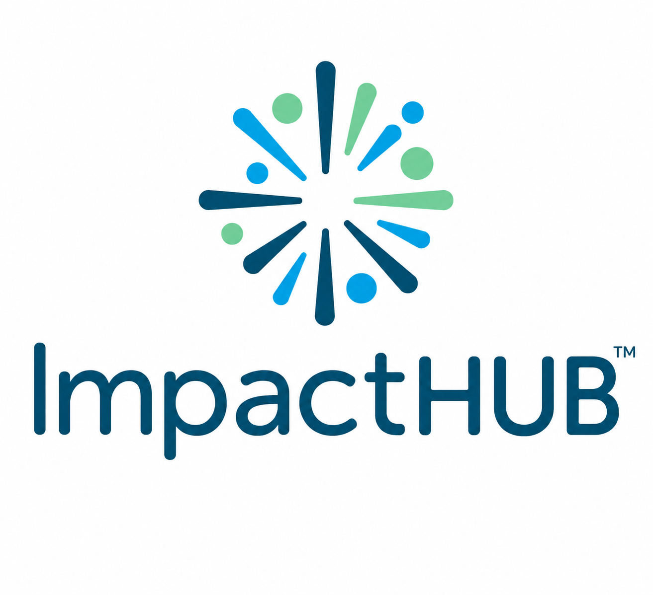 ImpactHUB™